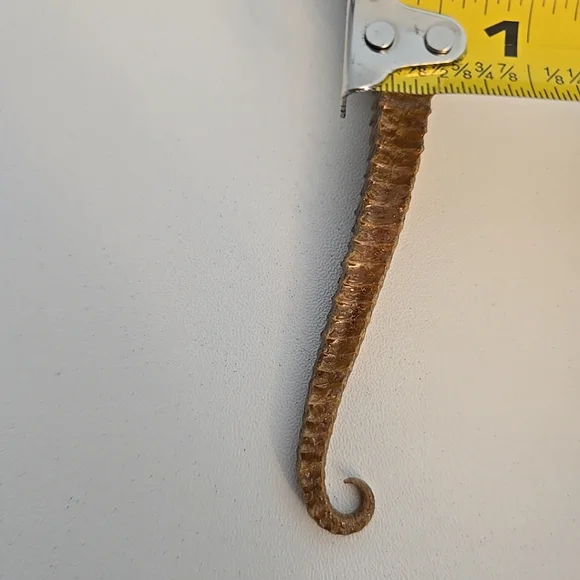 Vintage Taxidermy Seahorse Skeleton Natural Specimen 5" Hippocampus Erectus - Picture 14 of 14